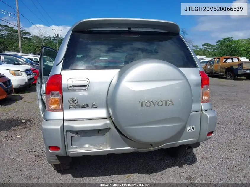 JTEGH20V520066539 2002 Toyota Rav4