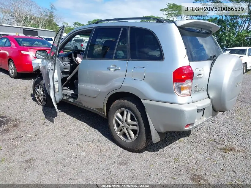 JTEGH20V520066539 2002 Toyota Rav4