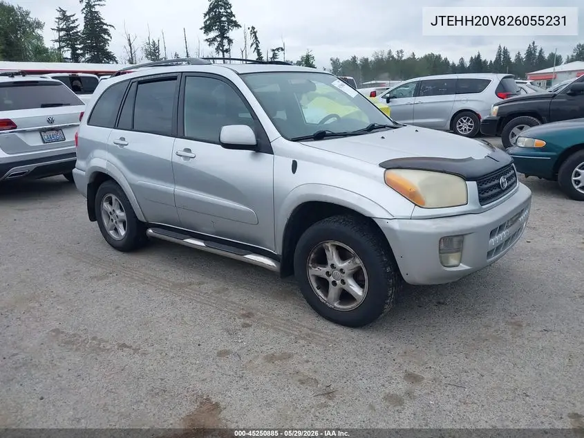 2002 Toyota Rav4 VIN: JTEHH20V826055231 Lot: 45250885