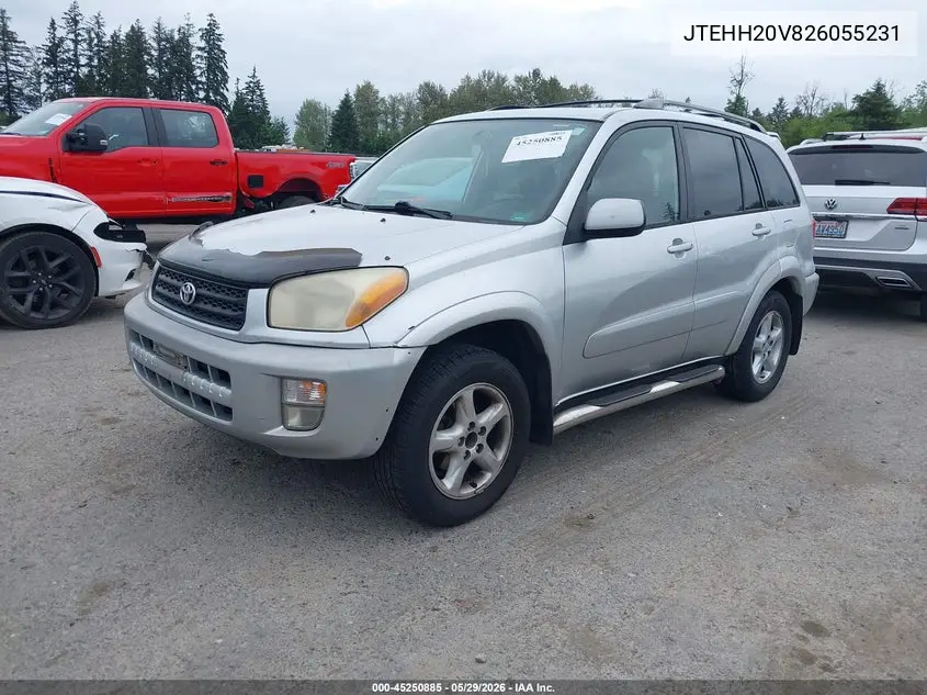 2002 Toyota Rav4 VIN: JTEHH20V826055231 Lot: 45250885
