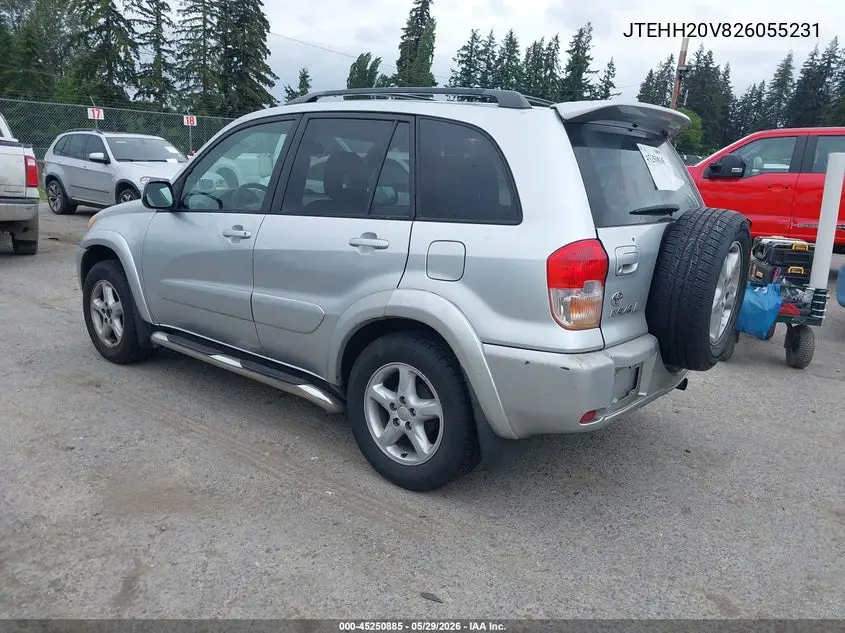 2002 Toyota Rav4 VIN: JTEHH20V826055231 Lot: 45250885