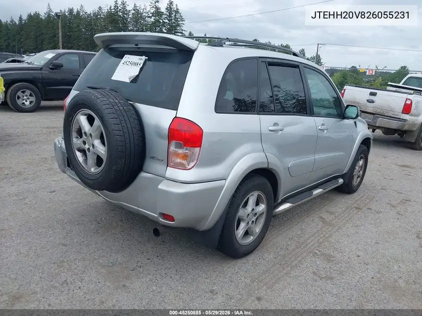 2002 Toyota Rav4 VIN: JTEHH20V826055231 Lot: 45250885