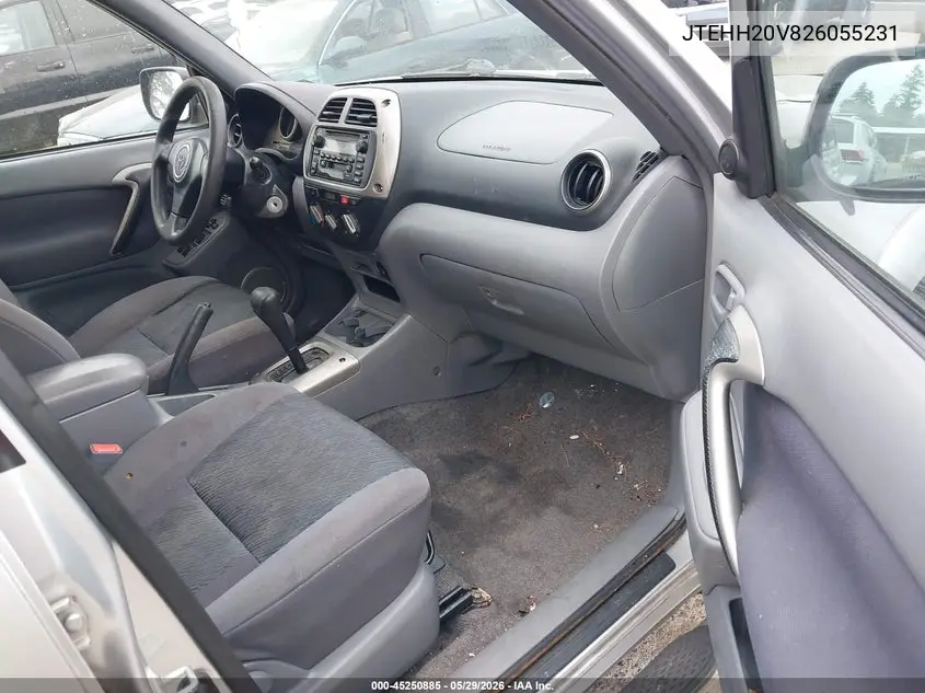2002 Toyota Rav4 VIN: JTEHH20V826055231 Lot: 45250885