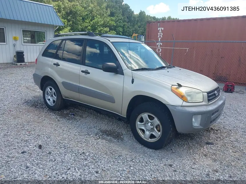 2003 Toyota Rav4 VIN: JTEHH20V436091385 Lot: 45451824