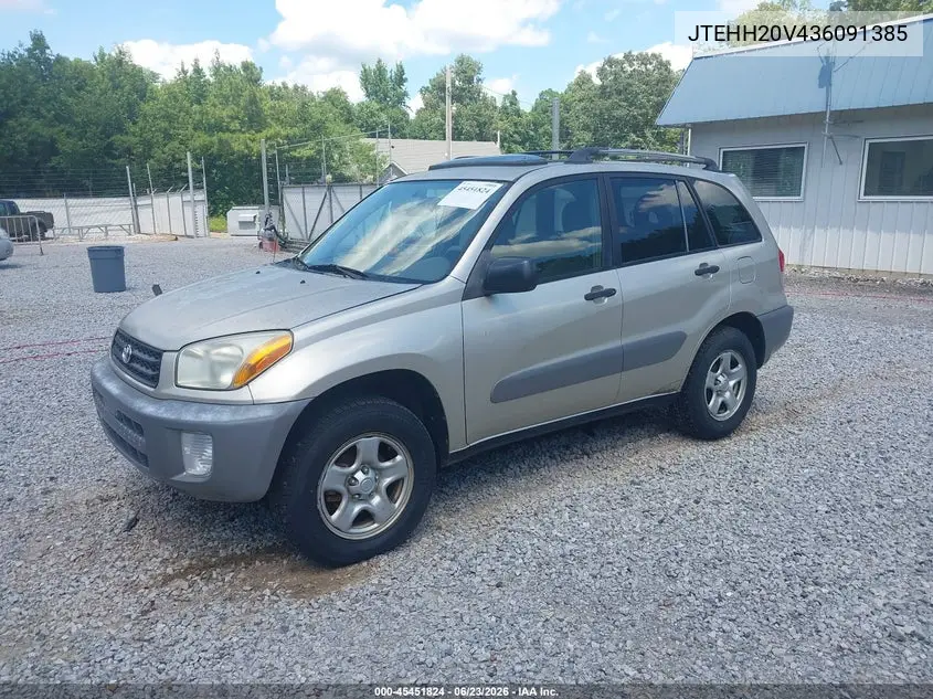 2003 Toyota Rav4 VIN: JTEHH20V436091385 Lot: 45451824