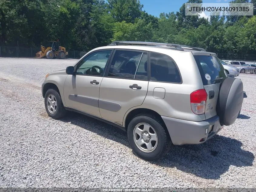 2003 Toyota Rav4 VIN: JTEHH20V436091385 Lot: 45451824