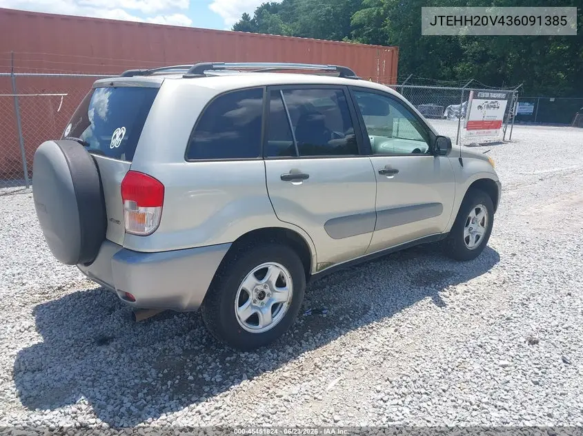 2003 Toyota Rav4 VIN: JTEHH20V436091385 Lot: 45451824