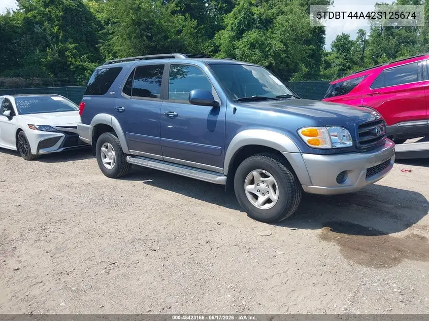 2002 Toyota Sequoia Sr5 V8 VIN: 5TDBT44A42S125674 Lot: 45423166