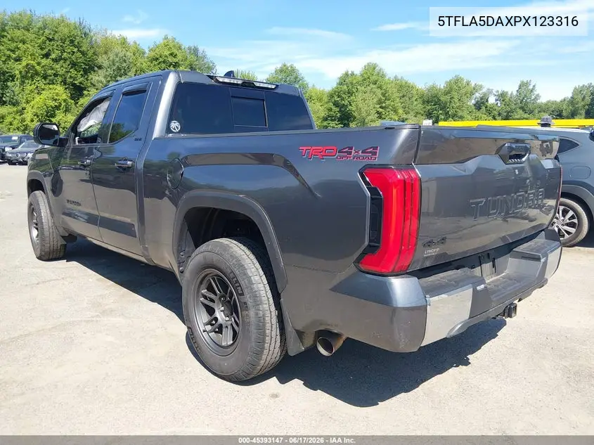 2023 Toyota Tundra Sr5 VIN: 5TFLA5DAXPX123316 Lot: 45393147