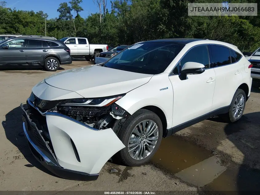 2021 Toyota Venza Limited VIN: JTEAAAAH9MJ066683 Lot: 45529530