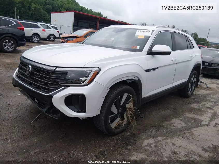 2024 Volkswagen Atlas Cross Sport 2.0T Sel VIN: 1V2BE2CA5RC250189 Lot: 45308458