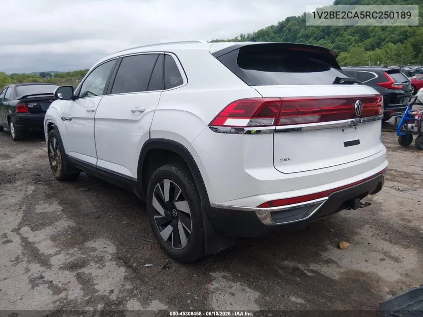 2024 Volkswagen Atlas Cross Sport 2.0T Sel VIN: 1V2BE2CA5RC250189 Lot: 45308458