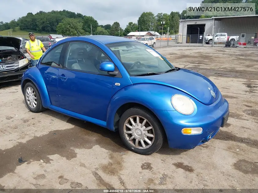 1999 Volkswagen New Beetle Gls VIN: 3VWCA21C1XM427576 Lot: 45558718