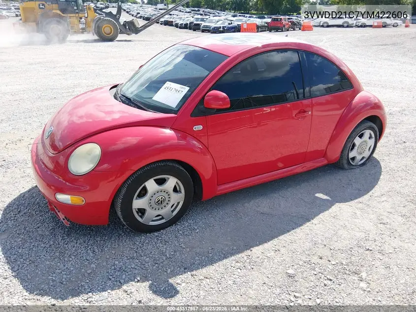 2000 Volkswagen New Beetle Glx VIN: 3VWDD21C7YM422606 Lot: 45317957