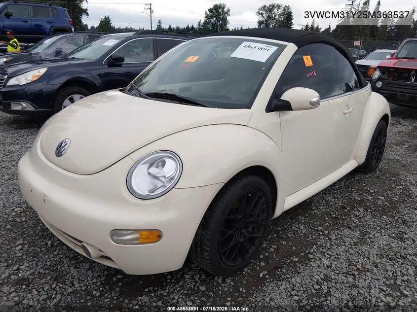 2005 Volkswagen New Beetle Gls VIN: 3VWCM31Y25M363537 Lot: 45653891