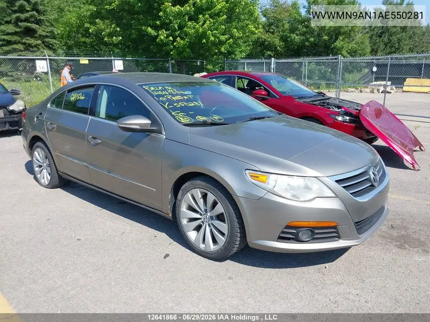 2010 Volkswagen Passat Cc VIN: WVWMN9AN1AE550281 Lot: 12641866