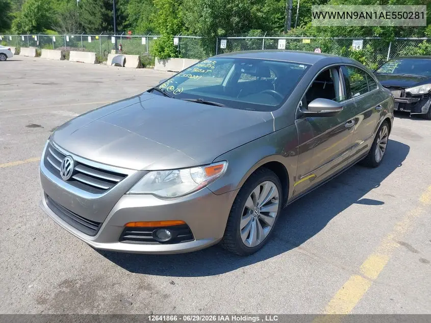 2010 Volkswagen Passat Cc VIN: WVWMN9AN1AE550281 Lot: 12641866
