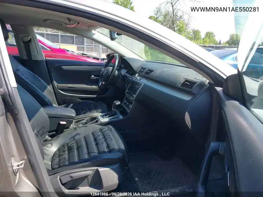 2010 Volkswagen Passat Cc VIN: WVWMN9AN1AE550281 Lot: 12641866