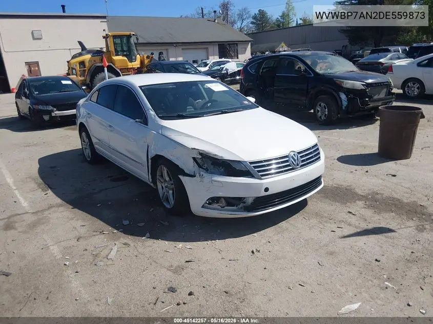 2013 Volkswagen Cc 2.0T Sport VIN: WVWBP7AN2DE559873 Lot: 45142257