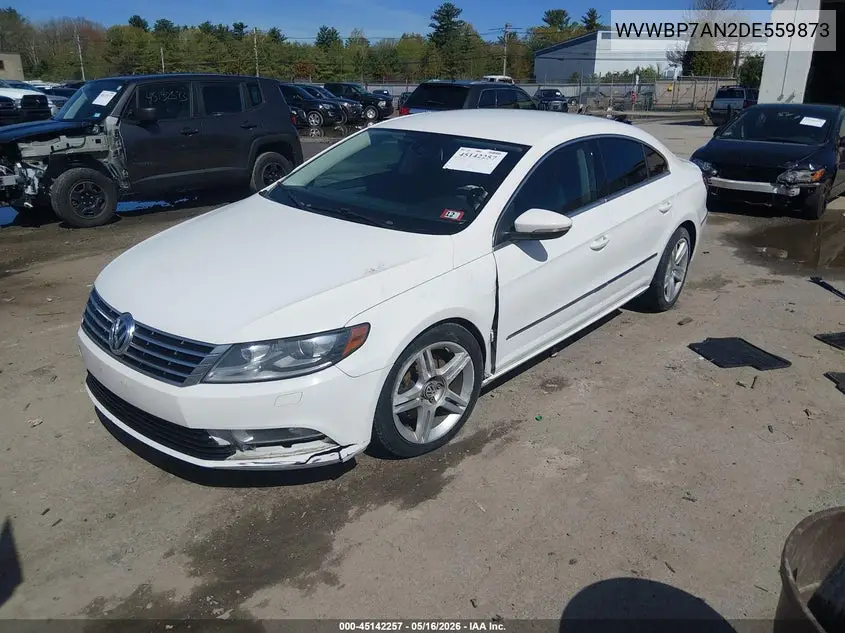 2013 Volkswagen Cc 2.0T Sport VIN: WVWBP7AN2DE559873 Lot: 45142257