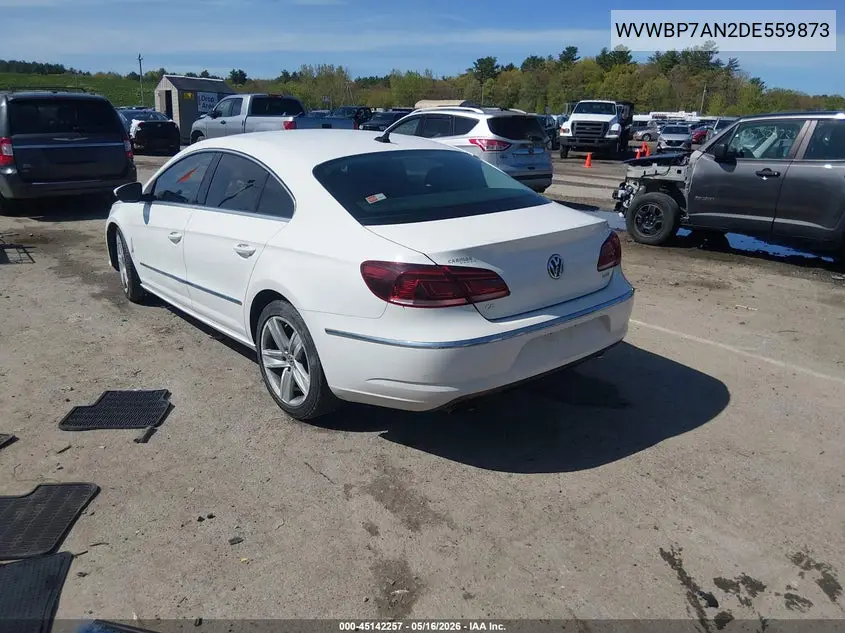 2013 Volkswagen Cc 2.0T Sport VIN: WVWBP7AN2DE559873 Lot: 45142257