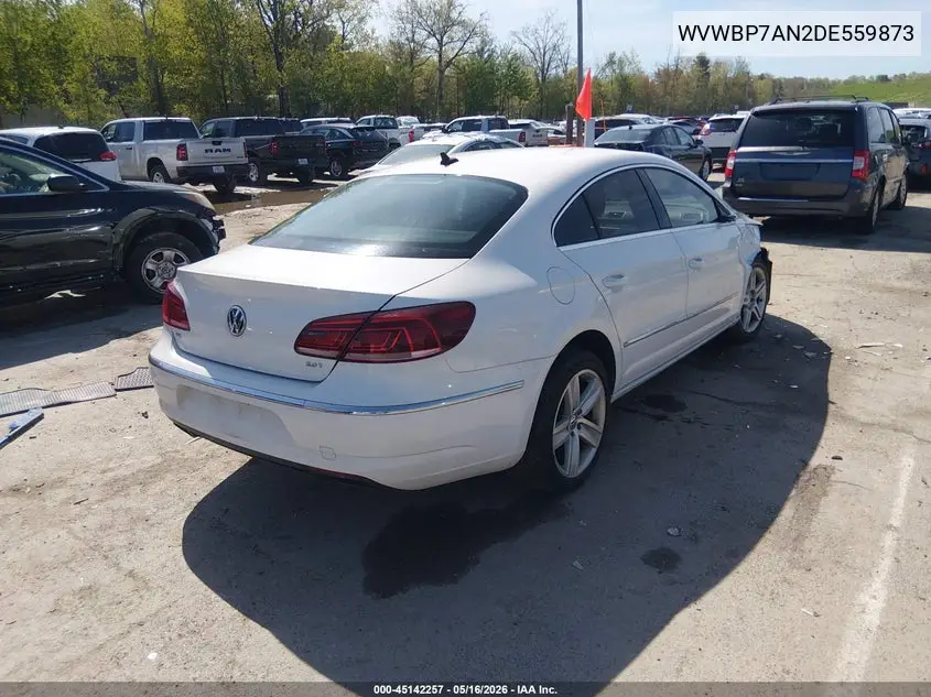 2013 Volkswagen Cc 2.0T Sport VIN: WVWBP7AN2DE559873 Lot: 45142257