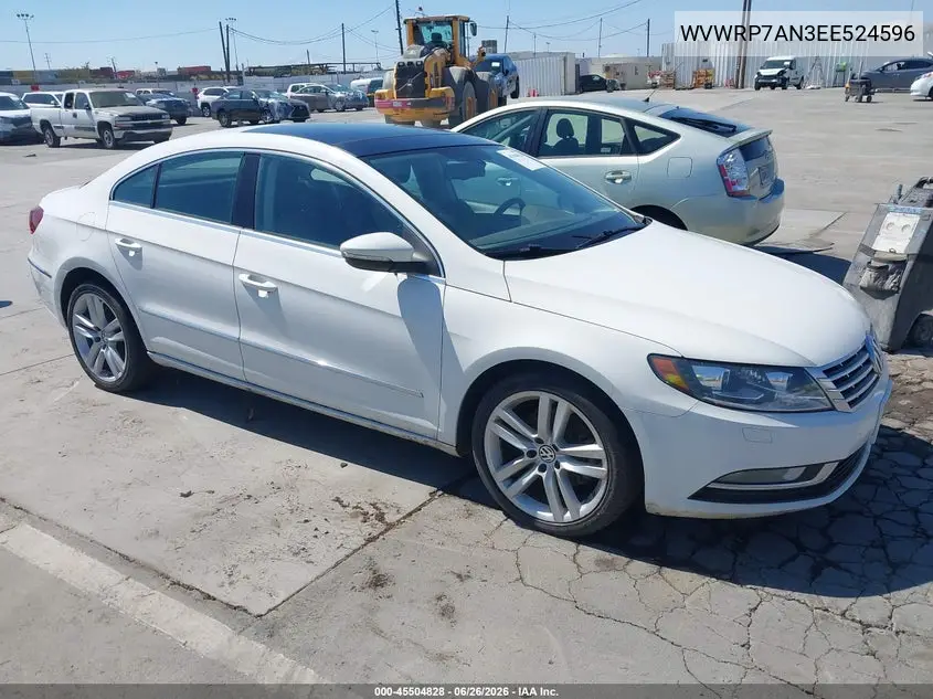 2014 Volkswagen Cc 2.0T Executive VIN: WVWRP7AN3EE524596 Lot: 45504828