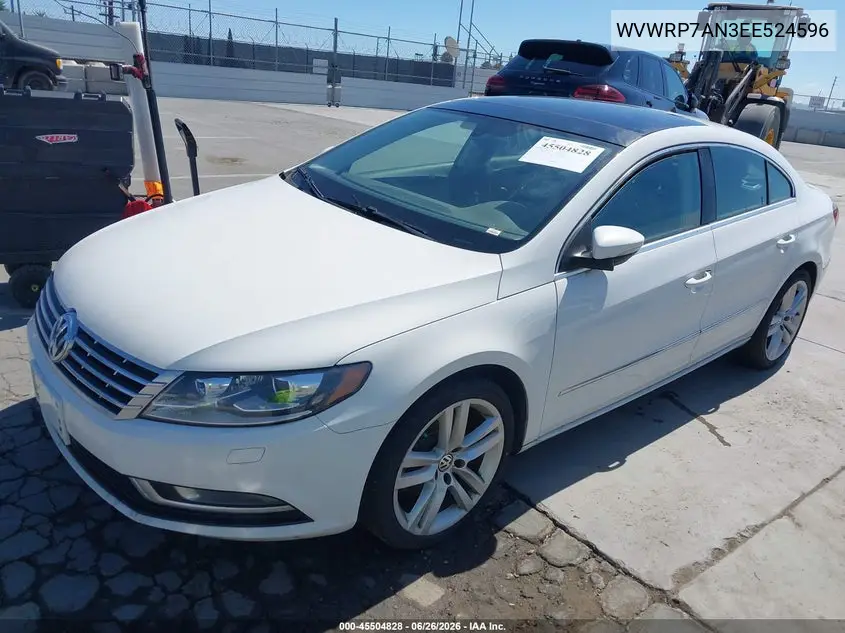 2014 Volkswagen Cc 2.0T Executive VIN: WVWRP7AN3EE524596 Lot: 45504828