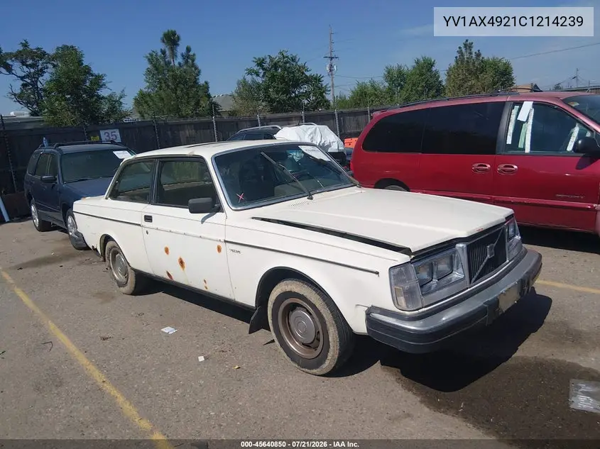 YV1AX4921C1214239 1982 Volvo 242 Dl