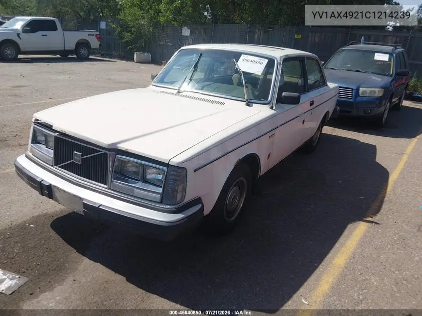 YV1AX4921C1214239 1982 Volvo 242 Dl