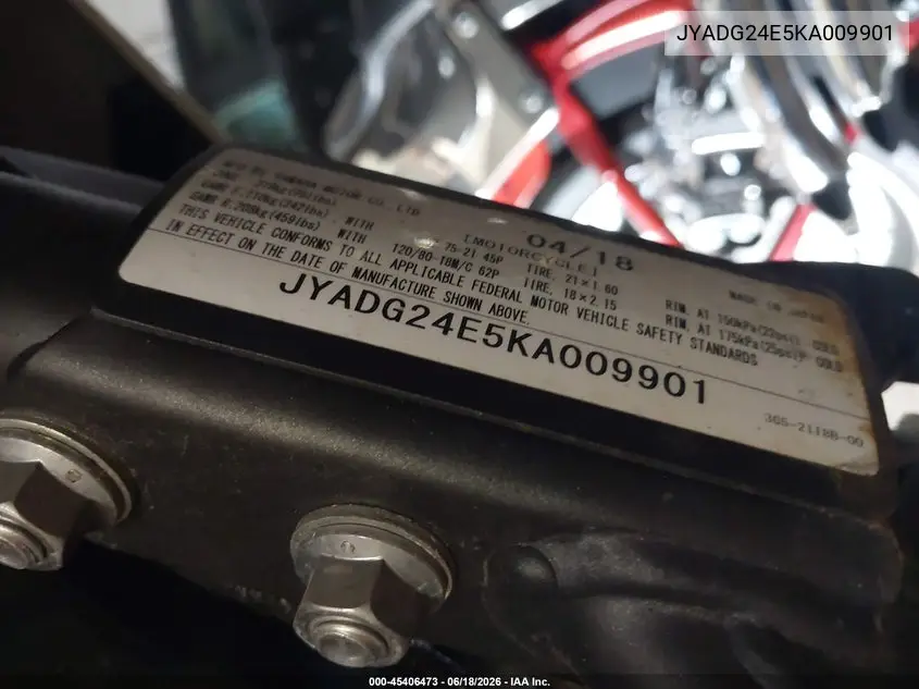 2019 Yamaha Xt250 VIN: JYADG24E5KA009901 Lot: 45406473