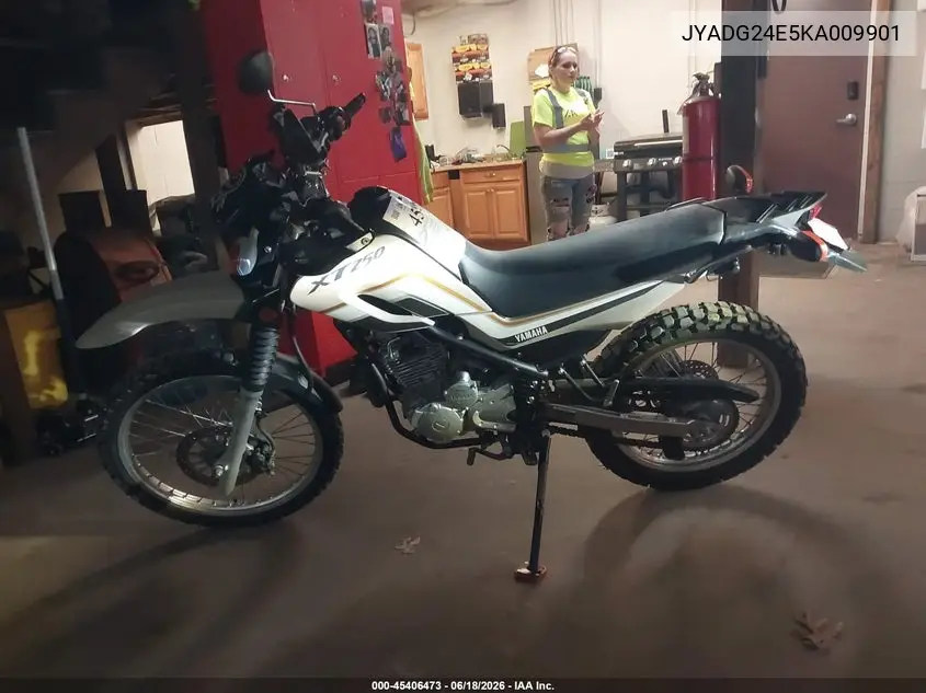 2019 Yamaha Xt250 VIN: JYADG24E5KA009901 Lot: 45406473