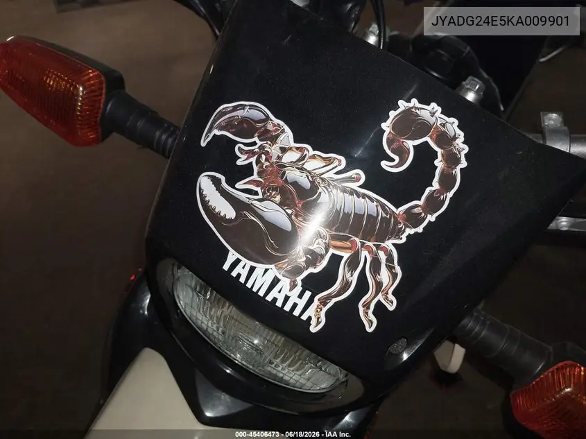 2019 Yamaha Xt250 VIN: JYADG24E5KA009901 Lot: 45406473